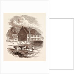 Birth Place of the Great Duke of Marlborough, Ashe, Devon by Anonymous