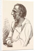 Lieutenant General Sir Charles Napier, the Hero of Scinde by Anonymous