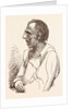 Lieutenant General Sir Charles Napier, the Hero of Scinde by Anonymous
