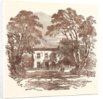 Miss Mitford's Cottage, Swallowfield, Berks by Anonymous