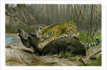 Jaguar Killing Tapir by Anonymous