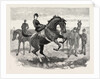 Horses by Anonymous
