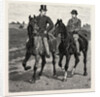 Horses by Anonymous