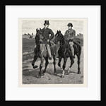 Horses by Anonymous