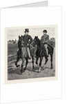 Horses by Anonymous
