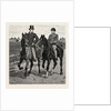 Horses by Anonymous