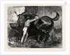 Rubbing Down the Dancing Master by Anonymous
