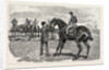 Horse by Anonymous