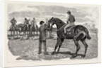 Horse by Anonymous