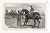 Horse by Anonymous