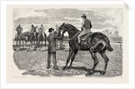 Horse by Anonymous