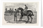 Horse by Anonymous