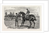 Horse by Anonymous