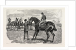 Horse by Anonymous