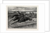Horse Racing by Anonymous
