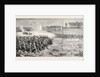 The Nile Expedition a Sham Fight Between the Camel Corps and the Royal Sussex Regiment from a Sketch by a Military Officer by Anonymous
