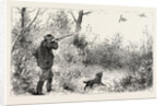 Woodcock Shooting by Anonymous
