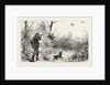 Woodcock Shooting by Anonymous