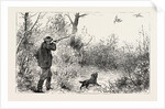Woodcock Shooting by Anonymous