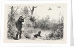 Woodcock Shooting by Anonymous