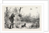 Woodcock Shooting by Anonymous