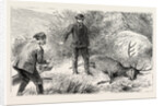 No Need for the Coup De Grace, Hunt, Hunting by Anonymous