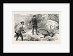 No Need for the Coup De Grace, Hunt, Hunting by Anonymous