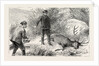 No Need for the Coup De Grace, Hunt, Hunting by Anonymous