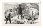 No Need for the Coup De Grace, Hunt, Hunting by Anonymous