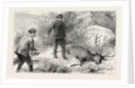 No Need for the Coup De Grace, Hunt, Hunting by Anonymous