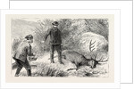 No Need for the Coup De Grace, Hunt, Hunting by Anonymous