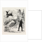 A Flying Shot by Anonymous