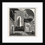 Yellowstone National Park by Anonymous