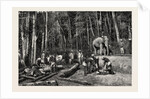 Natives Felling Timber in a Forest Perseverance Property, Gold Mining in Wynaad, India by Anonymous