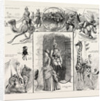 The Trooper of the Future, Camel, Horse by Anonymous