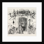 The Trooper of the Future, Camel, Horse by Anonymous