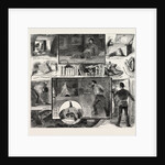 Rats on Board Ship a Midnight Fantasy by Anonymous