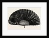 Modern Ostrich Feather Fan by Anonymous