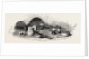 Ancient Roman Toilet Articles from Pompeii by Anonymous