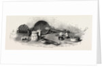 Ancient Roman Toilet Articles from Pompeii by Anonymous
