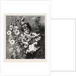 Girl Amongst Flowers by Anonymous