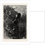 Fruit, Lady by Anonymous