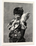 Lady and Pigeons by Anonymous