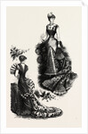 Evening Toilettes for Dinners and Balls by Anonymous
