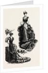 Evening Toilettes for Dinners and Balls by Anonymous