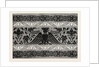 Border Satin-Stitch or Cross-Stitch Embroidery by Anonymous