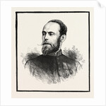 Sir Pierre Louis Napoleon Cavagnari Kcb Csi by Anonymous