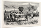 After Ulundi Bearing Away the Wounded, Zulu War by Anonymous