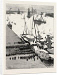 Funeral of the Late Prince Louis Napoleon Debarkation of the Body at Woolwich by Anonymous