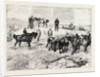 The Late Prince Louis Napoleon, Recovery of the Body in the Valley of Ilyotozi by Anonymous
